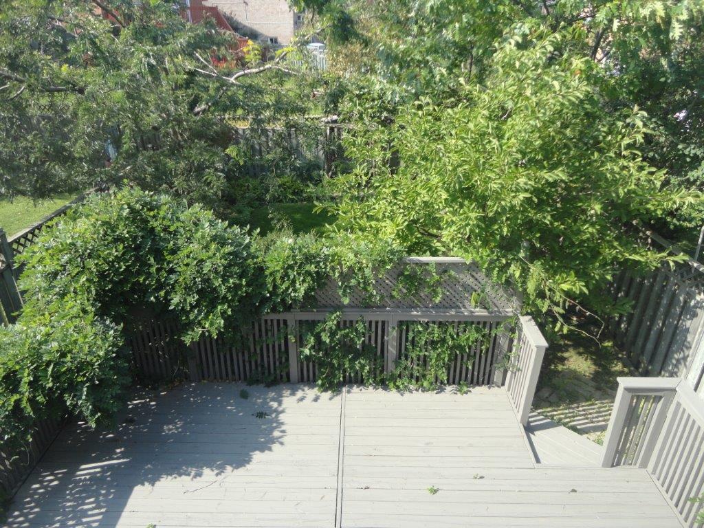 Brampton Northwood Park Detached Homes Legal Basement Separte Entrance